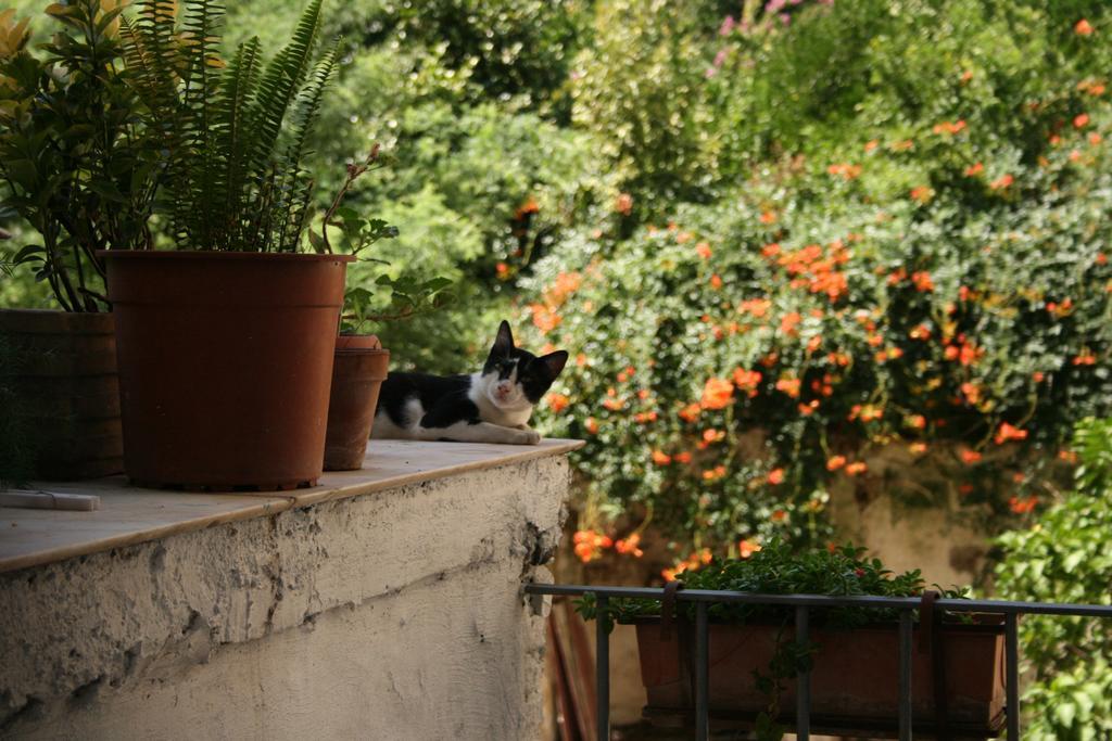 B&B Ingiropernapoli Εξωτερικό φωτογραφία